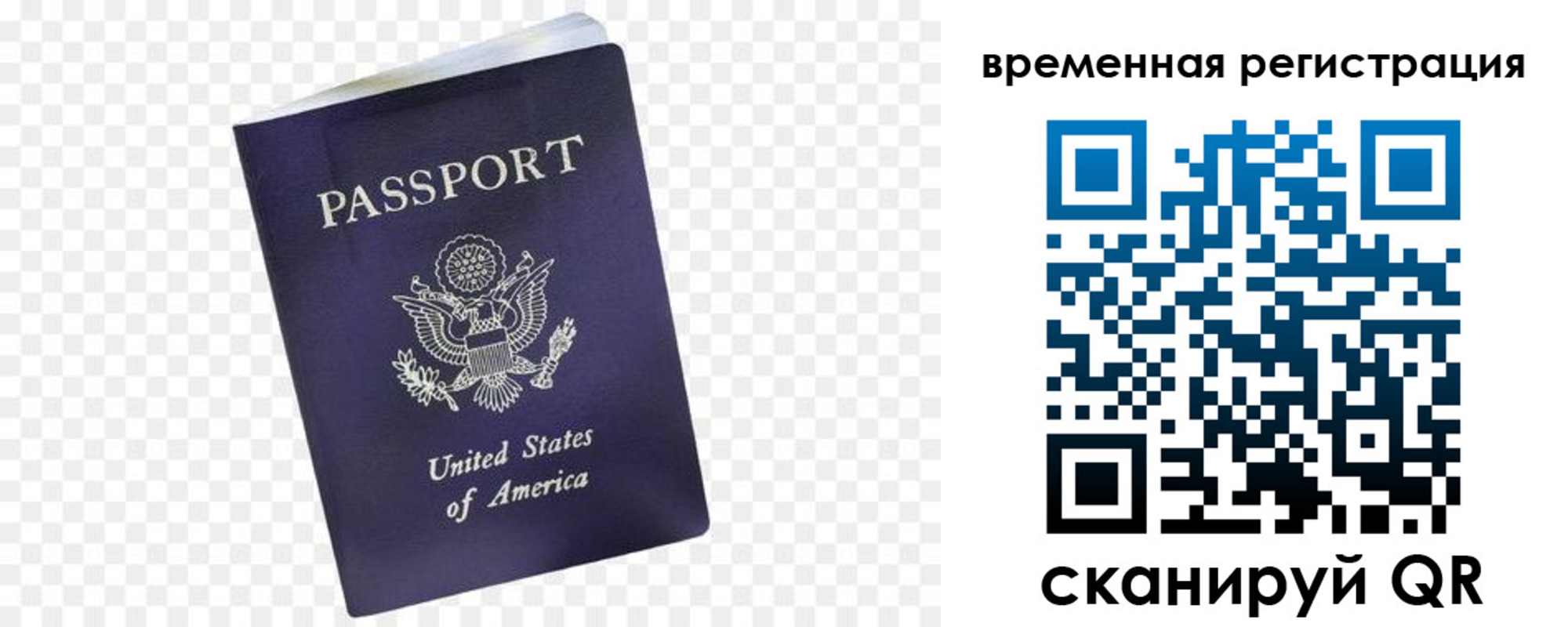 прописка в Дрезне